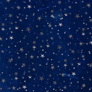 Meet your Posher, Robbie lynn